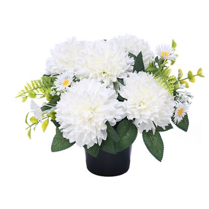 Picture of CEMETERY POT WITH CHRYSANTHEMUMS DAISIES AND FOLIAGE IVORY/WHITE