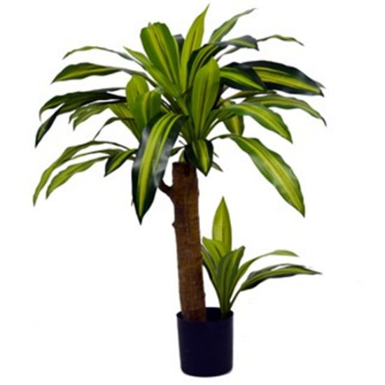 Picture of 80cm ARTIFICIAL DRACAENA PLANT IN POT GREEN X 4pcs