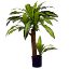 Picture of 80cm ARTIFICIAL DRACAENA PLANT IN POT GREEN X 4pcs