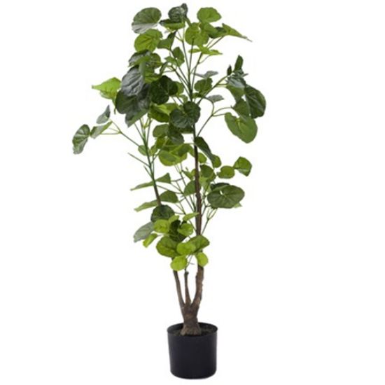 Picture of 90cm ARTIFICIAL POLYSCIAS PLANT IN POT GREEN X 4pcs