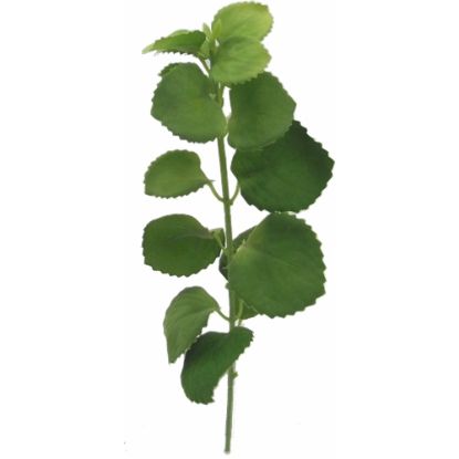 Picture of 27cm SMALL FLOCKED PATCHOULI LEAF SPRAY GREEN