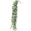 Picture of 60cm PLASTIC FOLIAGE TRAIL DARK GREEN