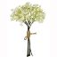 Picture of 29cm GYP BUNDLE DRY COLOUR CREAM