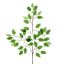 Picture of 60cm FICUS BRANCH (42 LEAVES) VARIEGATED X 12pcs