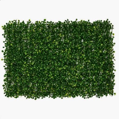 Picture of BOXWOOD TOPIARY MAT 60 X 40cm GREEN