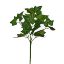Picture of 29cm IVY BUSH GREEN