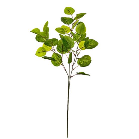 Picture of 80cm EUCALYPTUS SPRAY GREEN