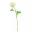 Picture of 37cm SINGLE PEONY IVORY