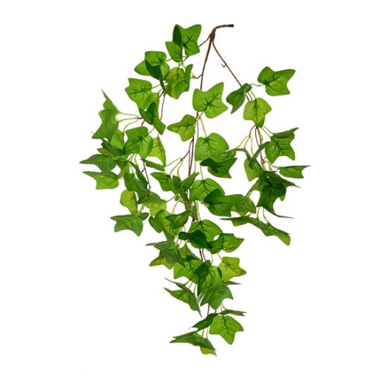 Picture of 60cm IVY TRAIL GREEN