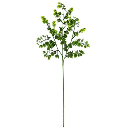 Picture of 63cm PLASTIC BAUHINIA SPRAY GREEN