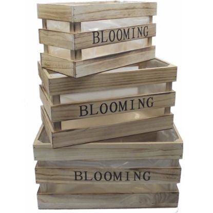 Picture of SET OF 3 WOODEN CRATES WITH PLASTIC LINING - BLOOMING