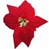 Picture of LARGE SINGLE POINSETTIA HEAD RICH RED X 50pcs