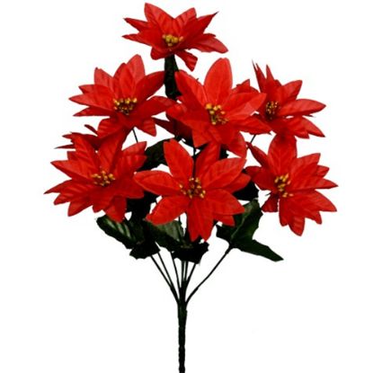 Picture of POINSETTIA BUSH (9 HEADS) RED