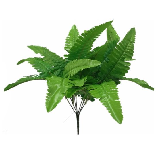 Picture of 40cm BOSTON FERN BUSH GREEN