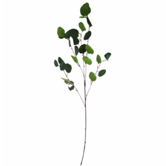 Picture of 95cm EUCALYPTUS SPRAY GREEN