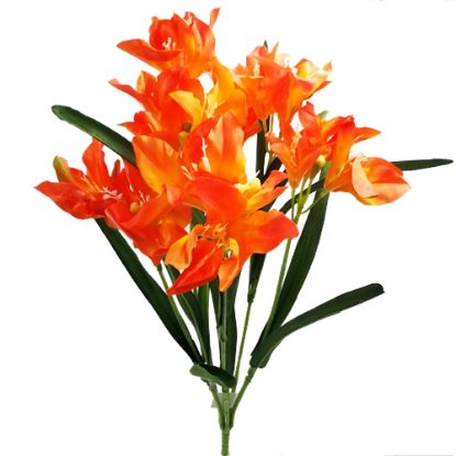 Picture of 64cm AMARYLLIS BUSH ORANGE