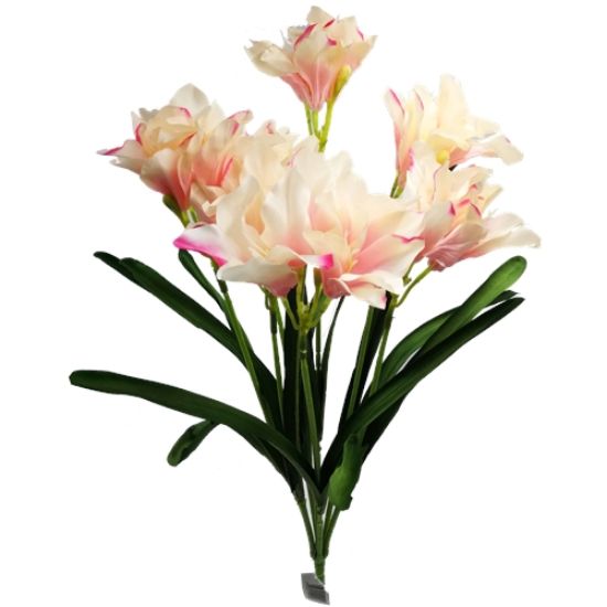 Picture of 64cm AMARYLLIS BUSH SOFT PINK