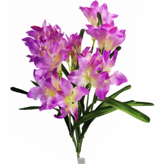 Picture of 64cm AMARYLLIS BUSH LILAC