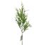 Picture of 48cm ASTILBE SPRAY WHITE