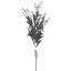 Picture of 48cm ASTILBE SPRAY PURPLE