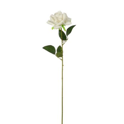 Picture of 53cm SINGLE VELVET OPEN ROSE IVORY