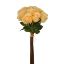 Picture of 37cm ROSE BUNDLE (11 STEMS) PEACH