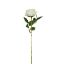 Picture of 50cm SINGLE OPEN ROSE IVORY