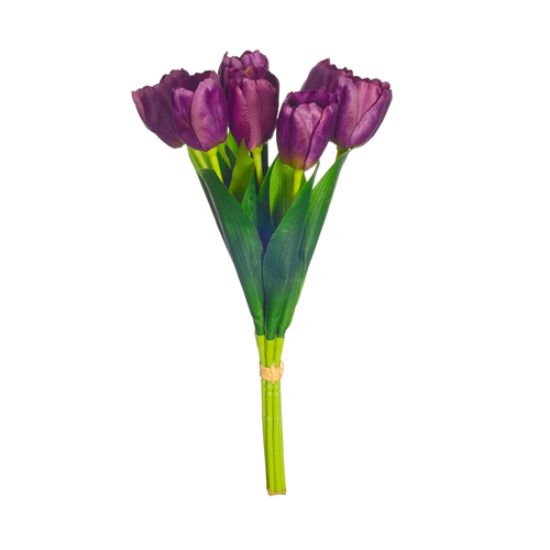 Picture of TULIP BUNDLE (7 STEMS) PURPLE