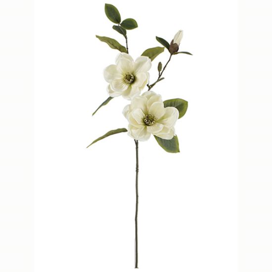 Picture of 84cm LARGE MAGNOLIA SPRAY DRY COLOUR CREAM