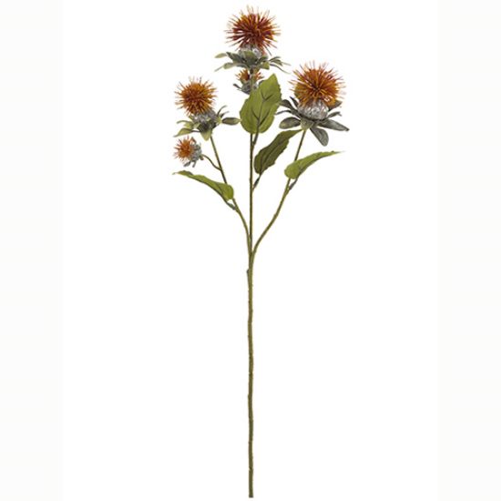 Picture of 57cm THISTLE SPRAY DRY COLOUR ORANGE