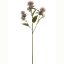 Picture of 57cm THISTLE SPRAY DRY COLOUR MAUVE
