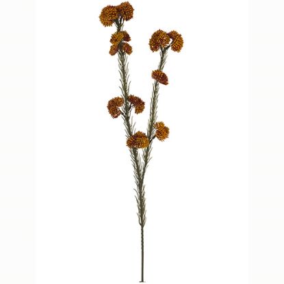Picture of 57cm RICE FLOWER SPRAY DRY COLOUR ORANGE