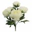 Picture of 46cm LARGE PEONY BUSH IVORY