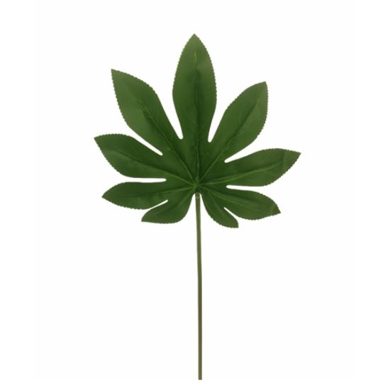 Picture of 55cm ARALIA LEAF GREEN X 6pcs