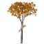 Picture of 29cm GYP BUNDLE DRY COLOUR MUSTARD
