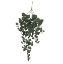 Picture of 80cm EUCALYPTUS TRAIL GREEN