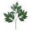 Picture of 70cm LARGE LEAF SPRAY (21 LEAVES) GREEN X 6pcs