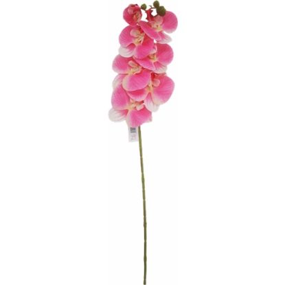 Picture of 75cm PHALAENOPSIS ORCHID SPRAY PINK