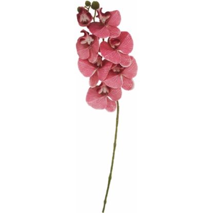Picture of 75cm PHALAENOPSIS ORCHID SPRAY VINTAGE PINK