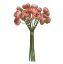 Picture of 30cm MINI RANUNCULUS BUNDLE PINK