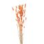Picture of DRIED FLOWERS - LAGURUS (APPROX. 50 STEMS) ORANGE