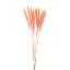Picture of DRIED FLOWERS - PAMPAS GRASS (10 stems) LIGHT ORANGE