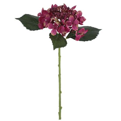 Picture of 45cm BUDDING HYDRANGEA BEAUTY