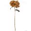 Picture of 52cm LARGE BUDDING HYDRANGEA DRY COLOUR ORANGE