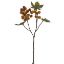 Picture of 43cm RICINUS (CASTOR OIL) SPRAY DRY COLOUR ORANGE