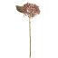 Picture of 38cm HYDRANGEA BERRY SPRAY DRY COLOUR PINK