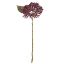 Picture of 38cm HYDRANGEA BERRY SPRAY DRY COLOUR BURGUNDY