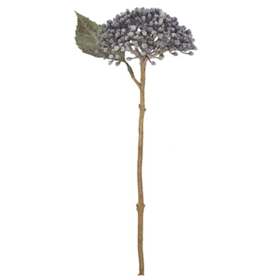 Picture of 38cm HYDRANGEA BERRY SPRAY DRY COLOUR GREY