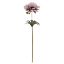 Picture of 35cm SINGLE ANEMONE DRY COLOUR PINK