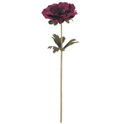 Picture of 35cm SINGLE ANEMONE DRY COLOUR BURGUNDY
